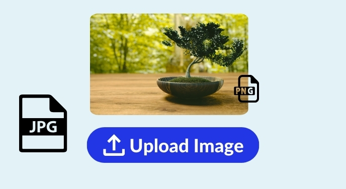 Upload a photo that needs to remove the photo background